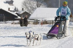 Lenk 2012 SM
